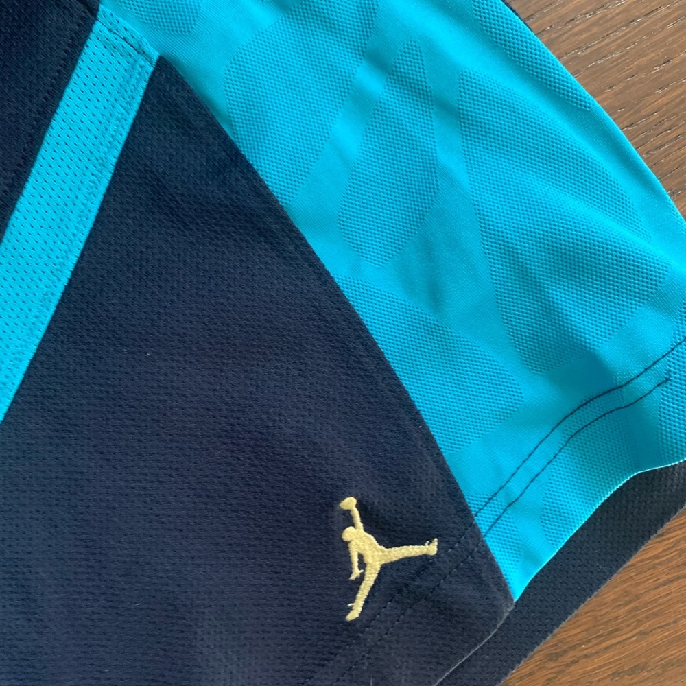 Beautiful Michael Jordan jumpman blue shorts Large - Picture 2 of 4